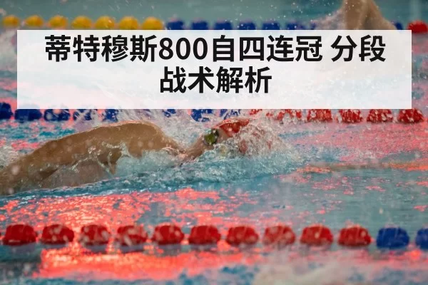 蒂特穆斯800自四连冠 分段战术解析