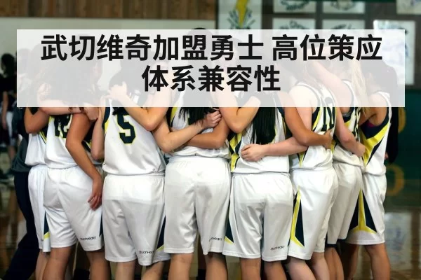 武切维奇加盟勇士 高位策应体系兼容性