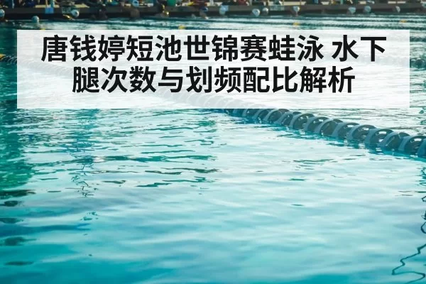 唐钱婷短池世锦赛蛙泳 水下腿次数与划频配比解析